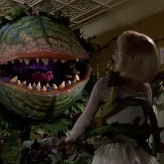 Sklepik z horrorami: odkryj mroczne sekrety kultowego filmu
